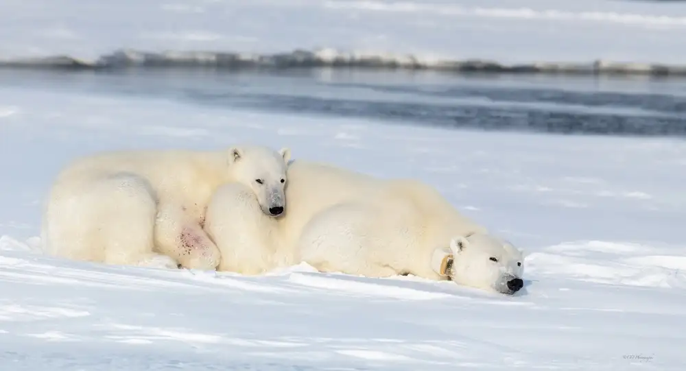 Fischer, Jie: Più felice con la mamma