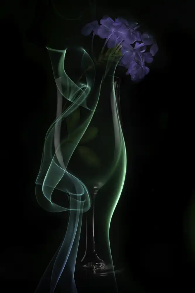Yakubovitch, Azriel: Blume im Glas