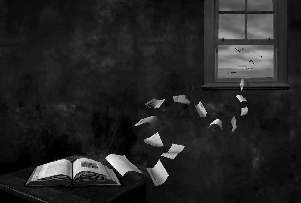 Manning, Jocelyn: Volo delle idee