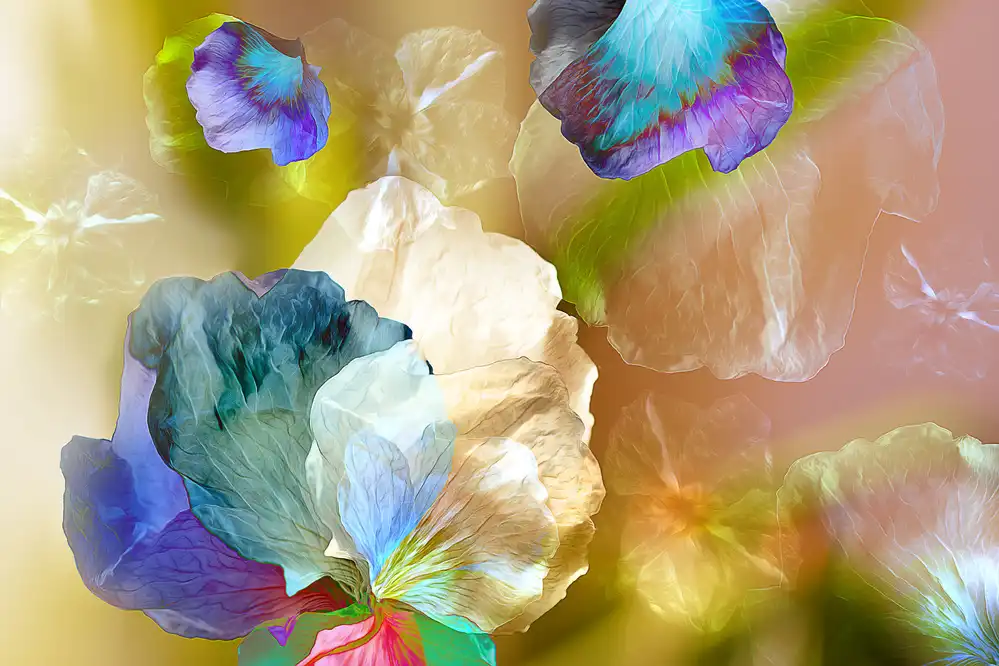 Shumilova, Ludmila: Petali fluttuanti
