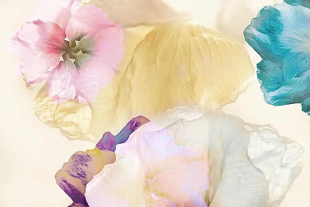 Shumilova, Ludmila: Fiori eterei
