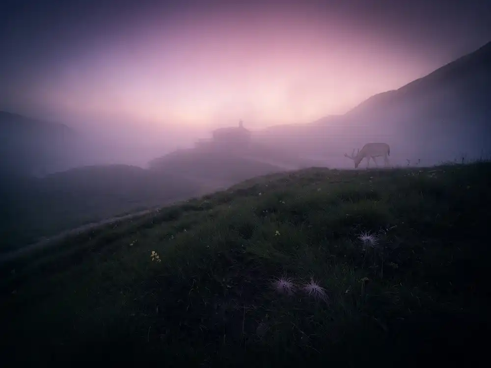 Z, Bingo: Questa nebbia scarlatta