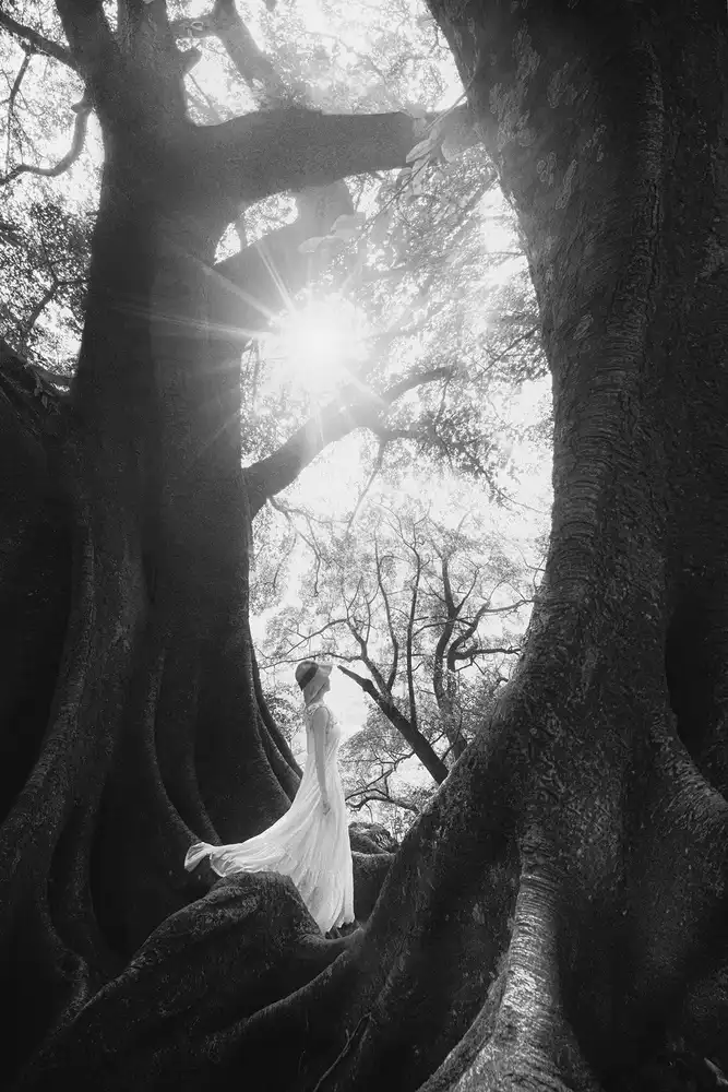 Tianqi: La figlia degli alberi