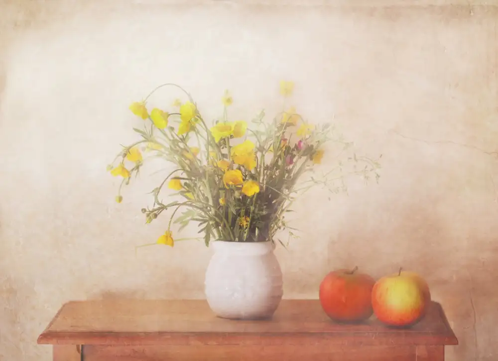 Devos, Delphine: Blush Of Apples