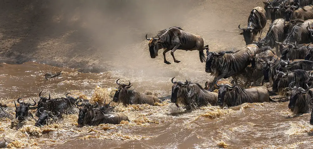 Poreider, Annie: Crossing Masa river