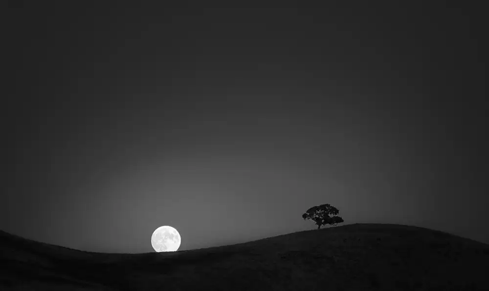 Ning, Aidong: Luna del raccolto