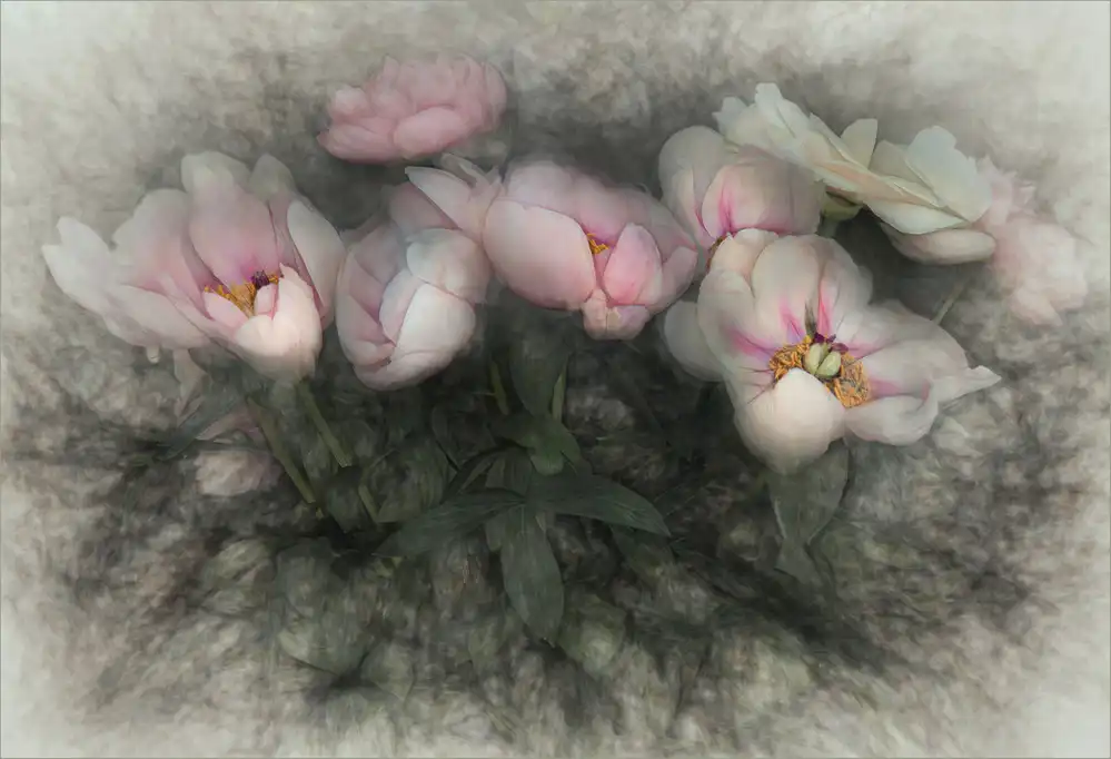 Claes, Gilbert: charme de la nature