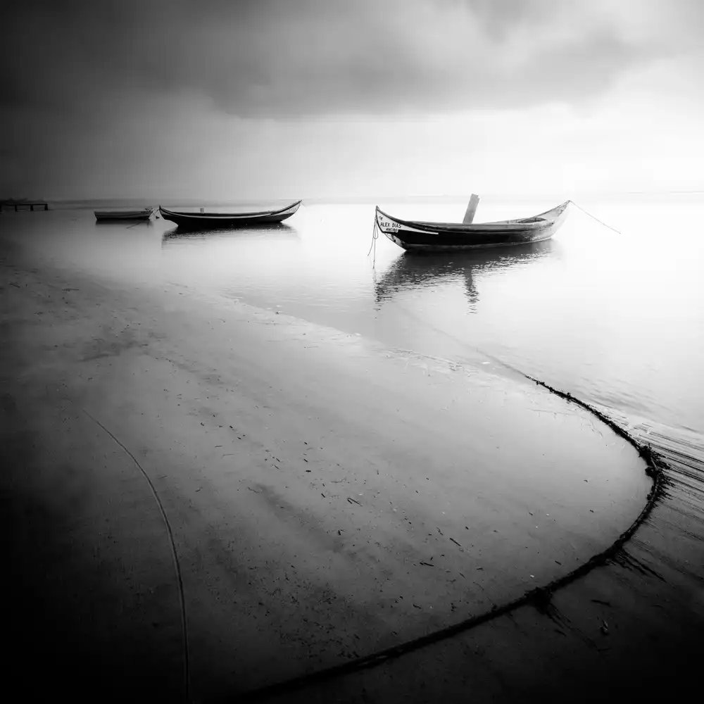 Faria, Marco: ***