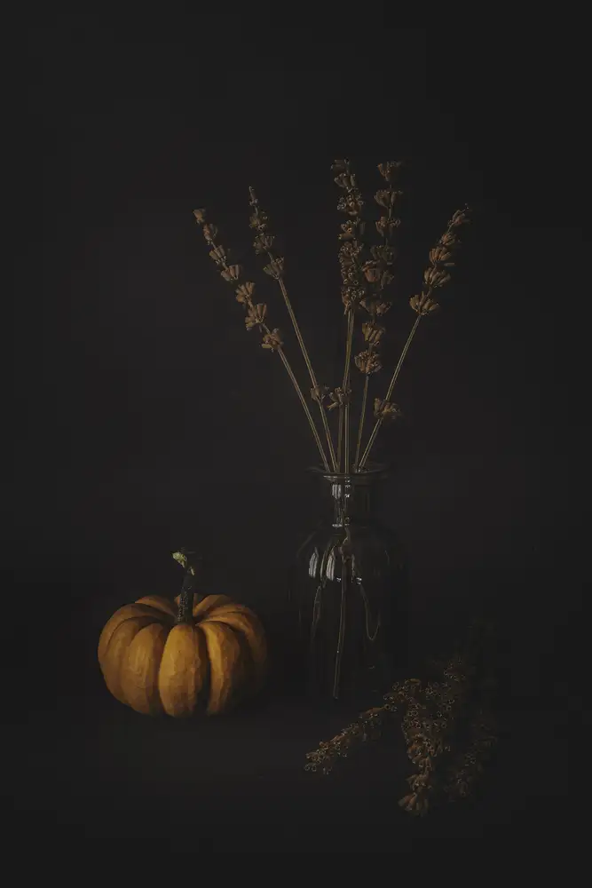 Kiral, Cicek: Lavenders and the Pumpkin
