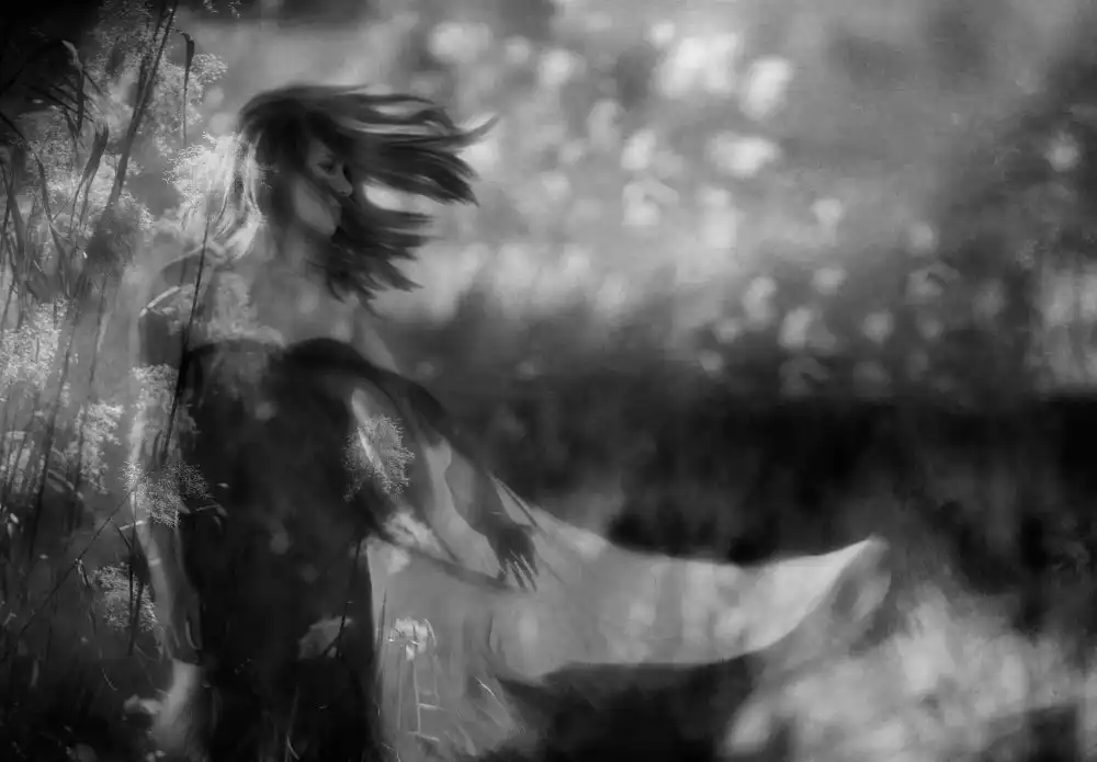 Gerber, Charlaine: E lei venne da me una mattina,con i suoi lunghi capelli che fluttuavano nel vento di metà inverno....