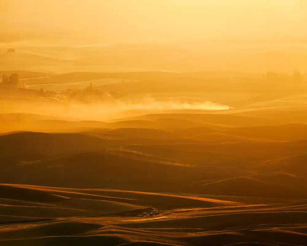 Fan, John: Campo dei ruscelli