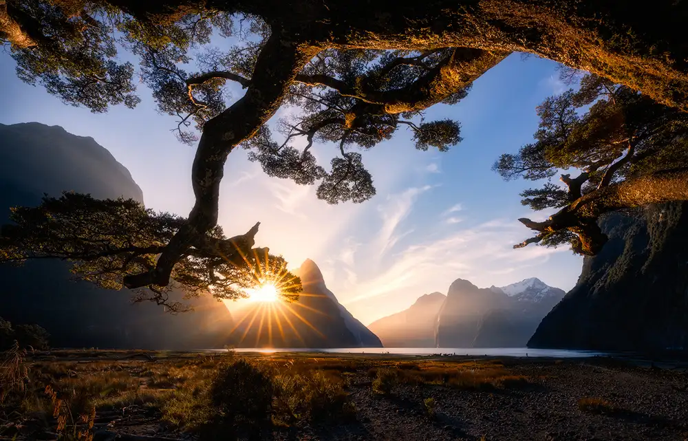 Zhu, Jingshu: Giornata di sole a Milford Sound