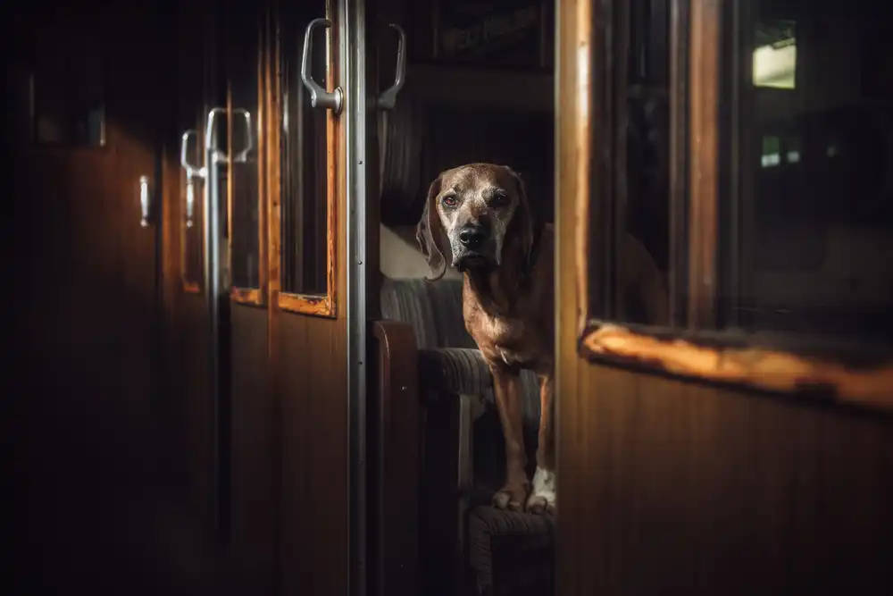 Willers, Heike: FIRST CLASS