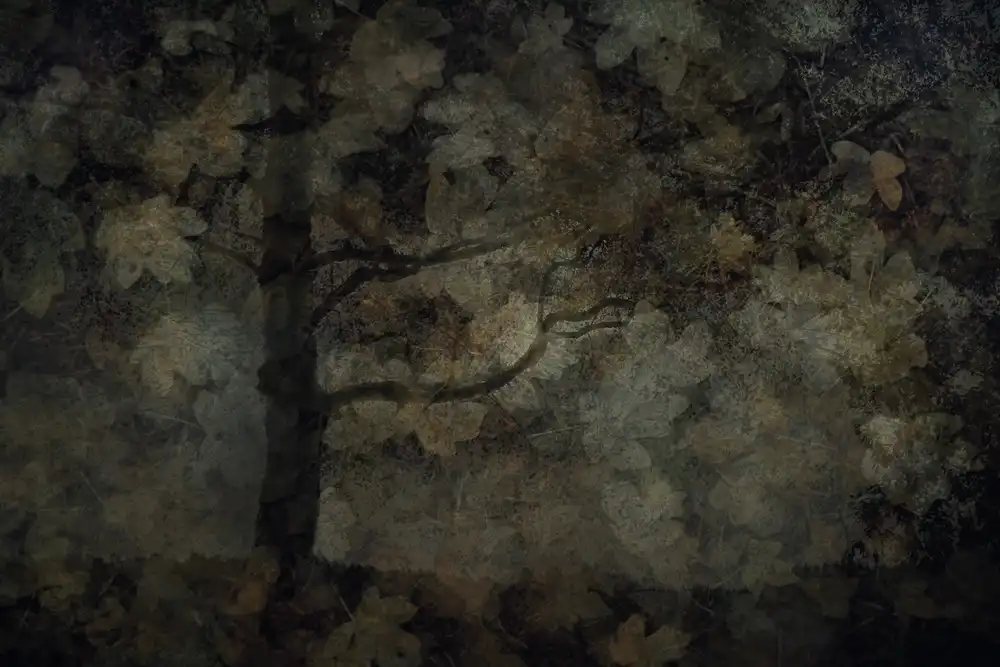 Talen, Nel: Dunkler Wald