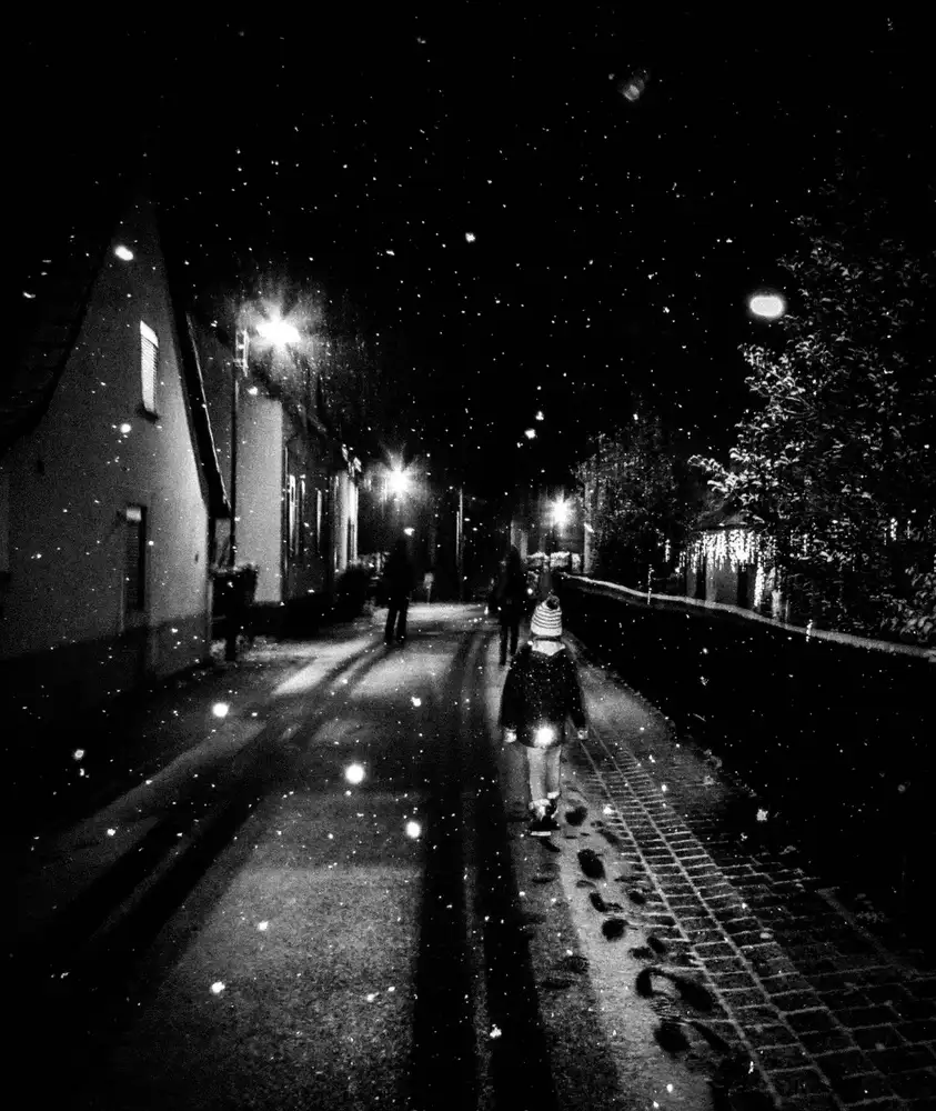 Kleimann, Stephanie: neve di notte