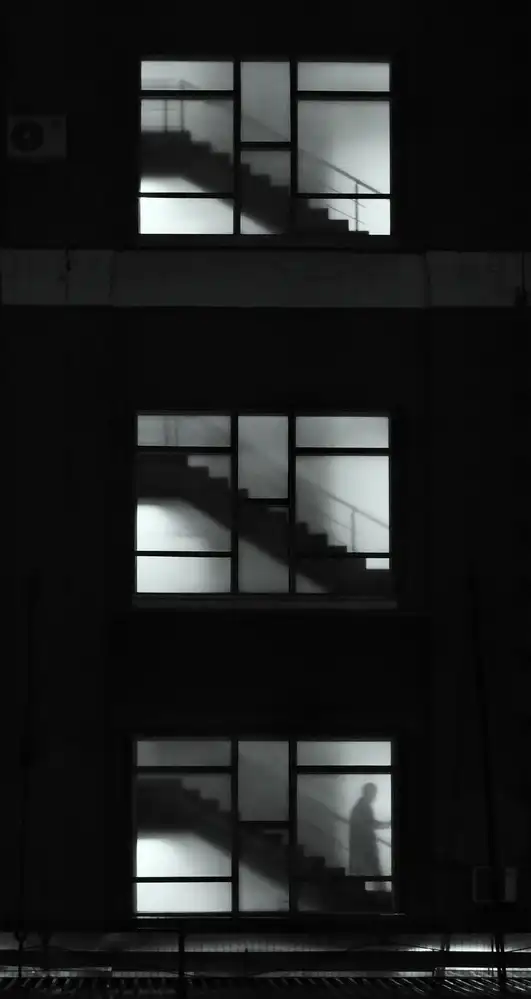 Makunin, Maxim: Scala delle ombre
