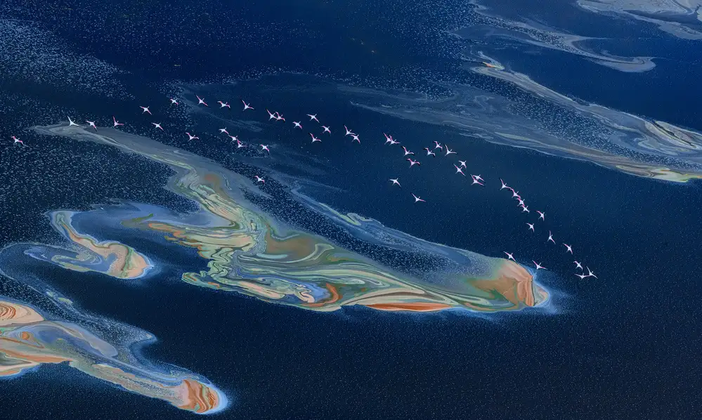 Fischer, Jie: Lago Magadi