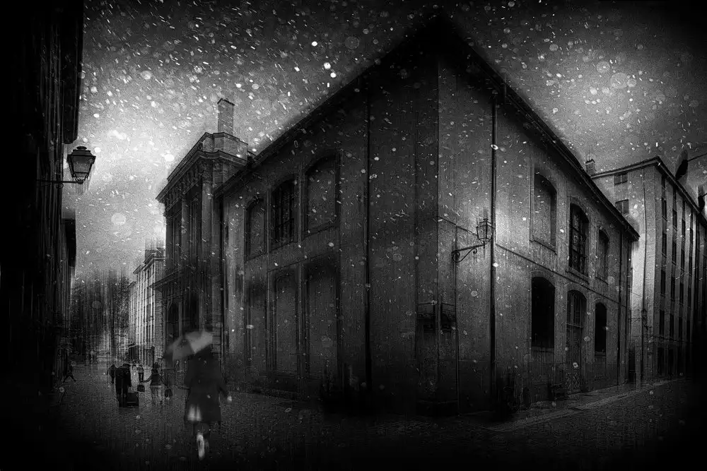 Gerber, Charlaine: Nevica per le strade di Lione