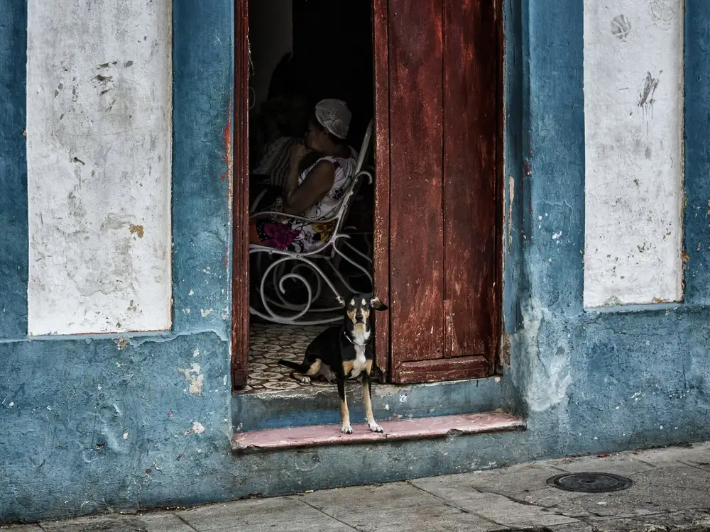 Stranak, Pavol: piccolo cane da guardia