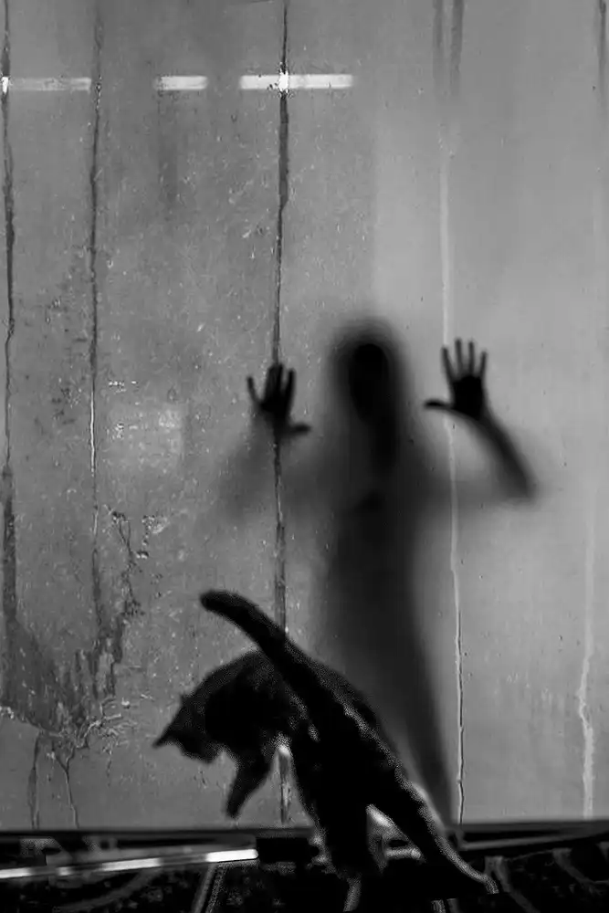 Basa, Emine: ombra e gatto