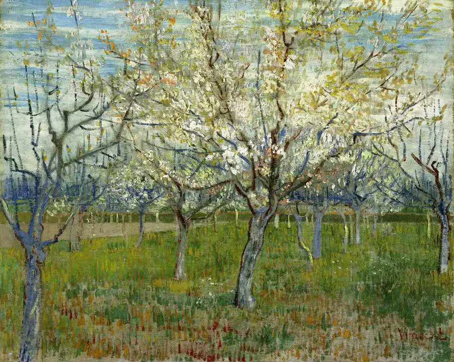 Gogh, Vincent van: Sad kvetoucích broskvoní
