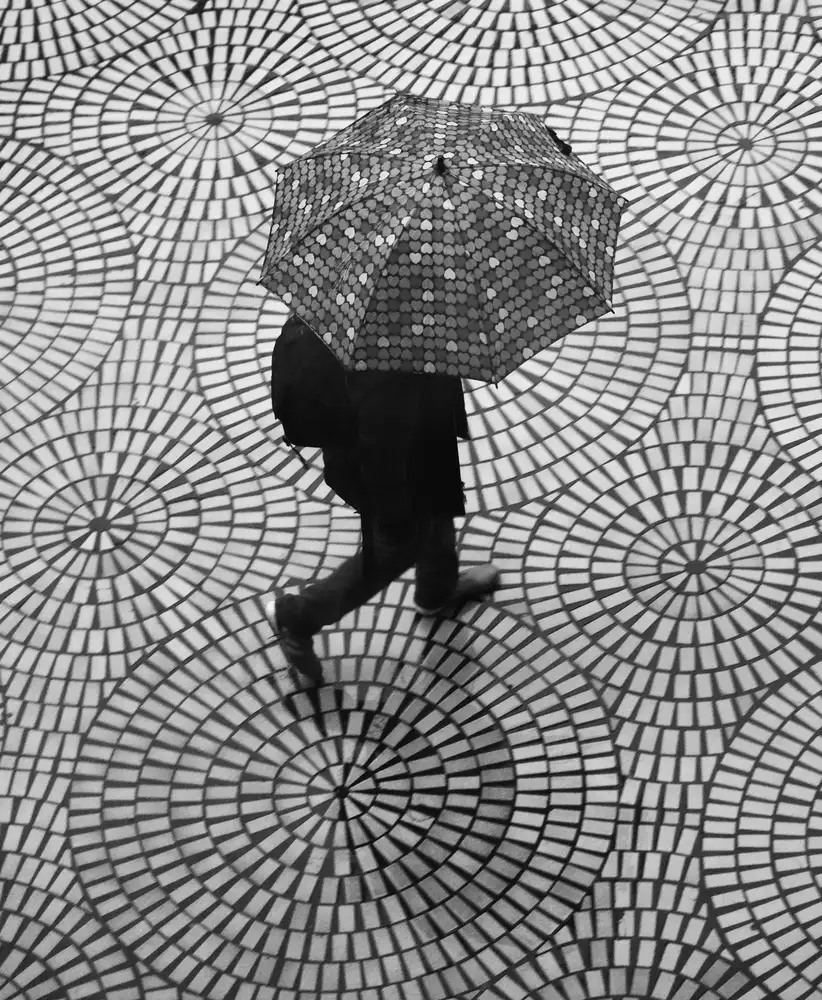 Wechsler, Robin: Modèles de jours de pluie sur l'Embarcadero