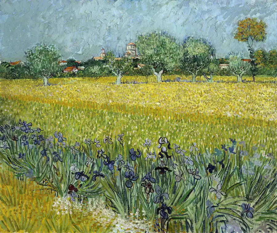 Gogh, Vincent van: Pole a kosatce v Arles