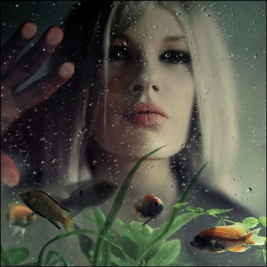 ambra: podvodní láska