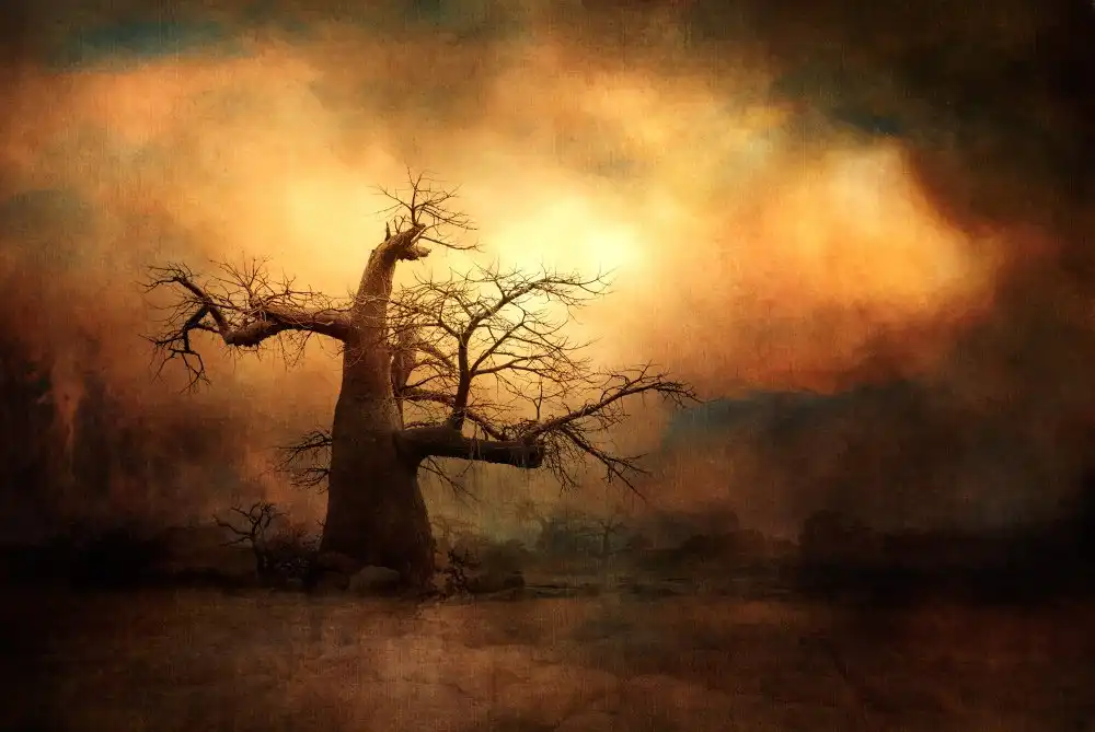 Gerber, Charlaine: Il potente Baobab...