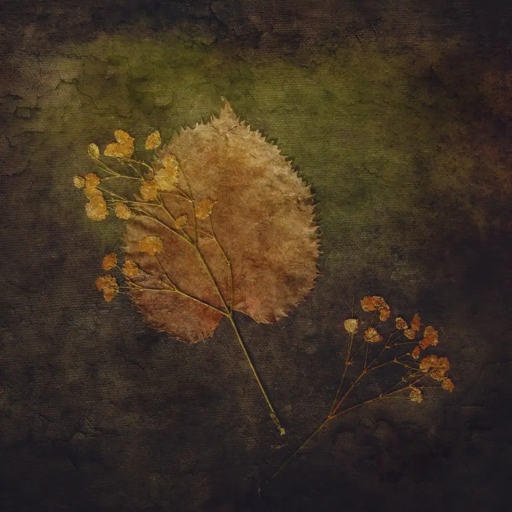 Kiral, Cicek: Embedded
