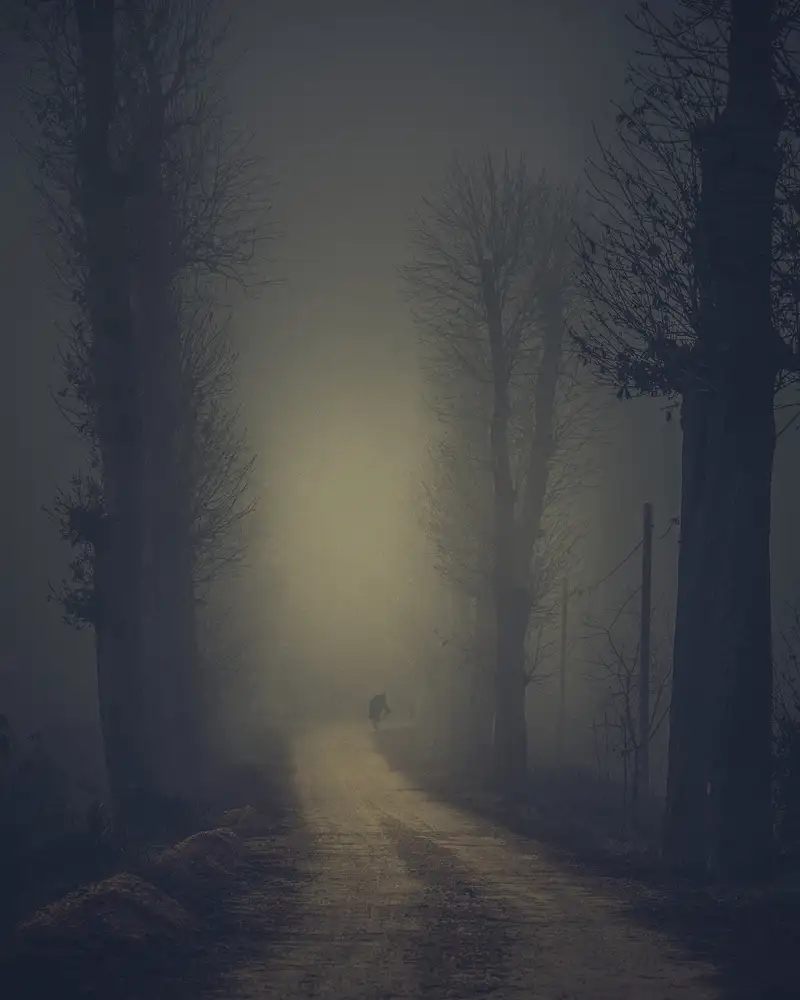 Fraccaroli, Andrea: L'uomo nella nebbia