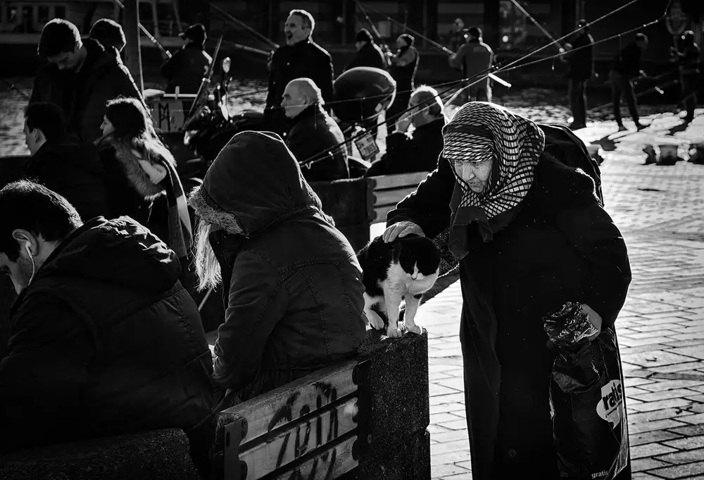 Pancareken, Yavuz: Compassione
