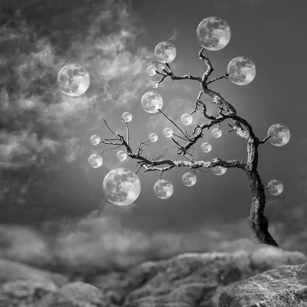 Marcel, Christian: L'albero della luna