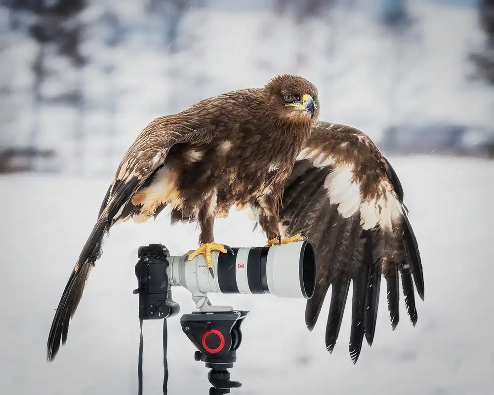 Poreider, Annie: I want to be a photographer too!