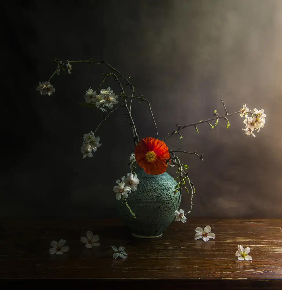 Tseng, Judy: La primavera è qui