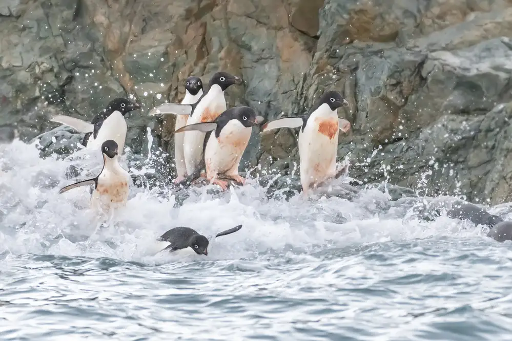 Wei, and Siyu: Correre al mare 2