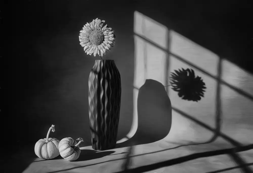 Jacobs, Lydia: Shine Day