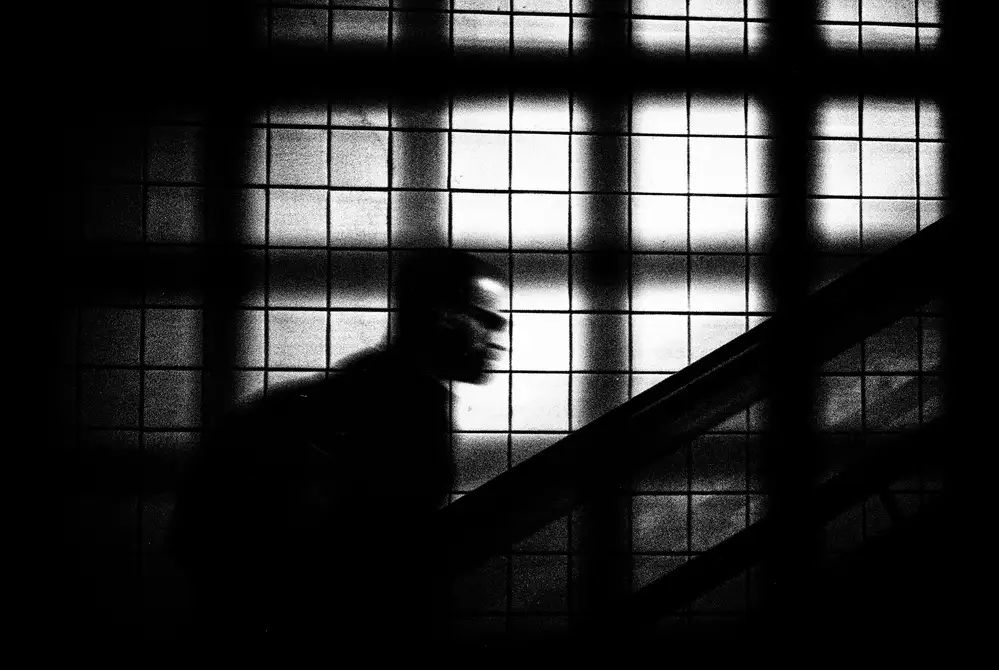Correia, Rui: Wille und Schmerz