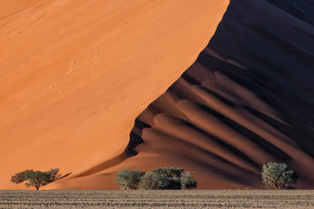 Ruoppolo, Luigi: La vita nel deserto