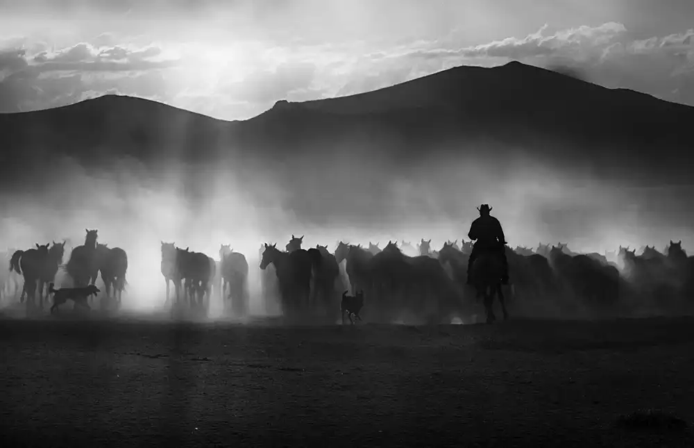 Basa, Emine: cowboy