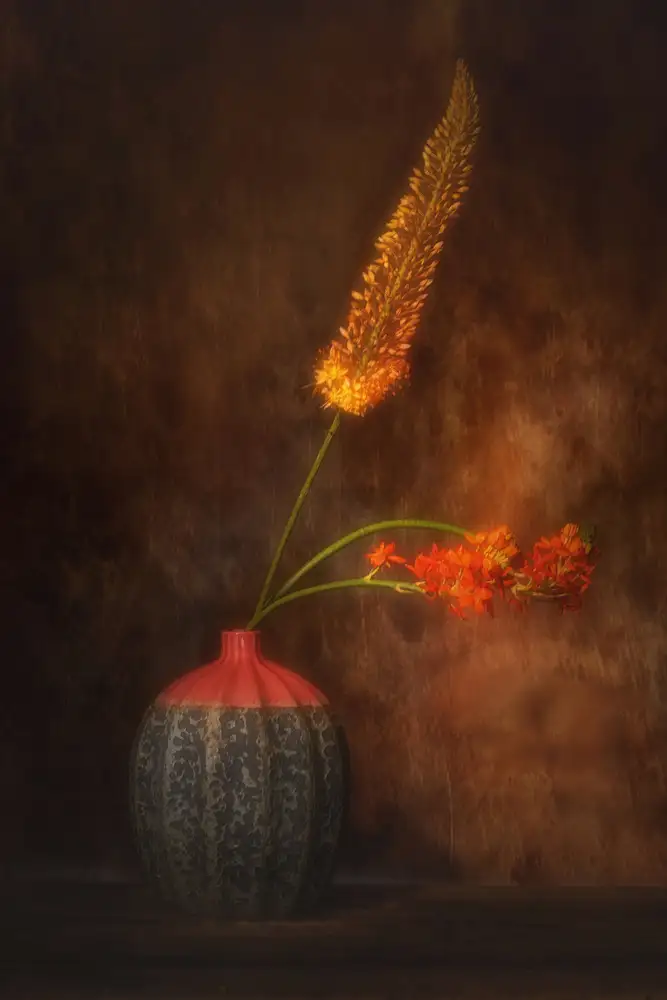 Dingemans, Saskia: Sogno di fiori