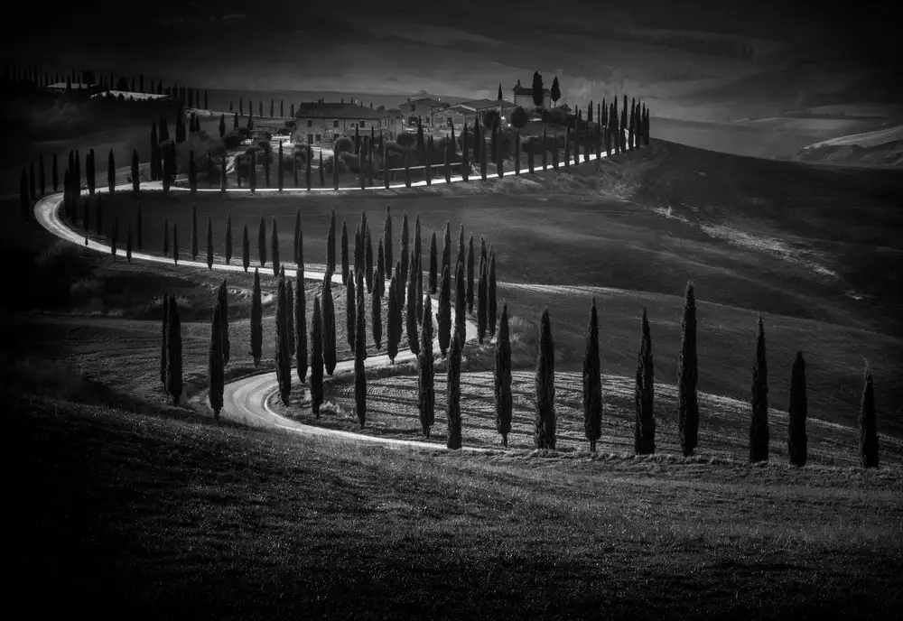 Traverso, Alessandro: Podere Baccoleno