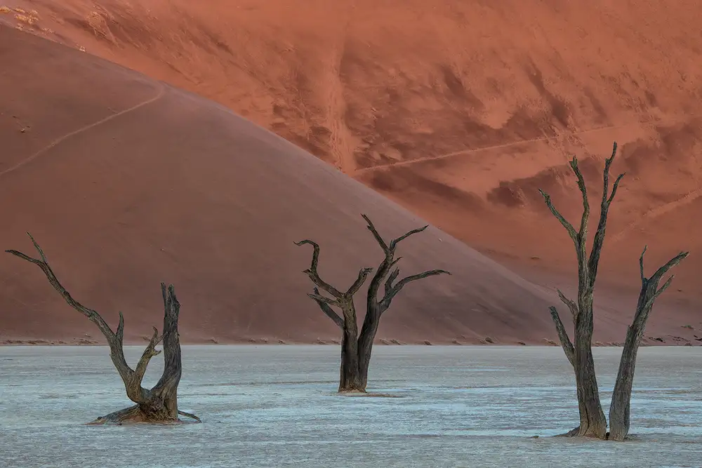 Ruoppolo, Luigi: Deadvlei