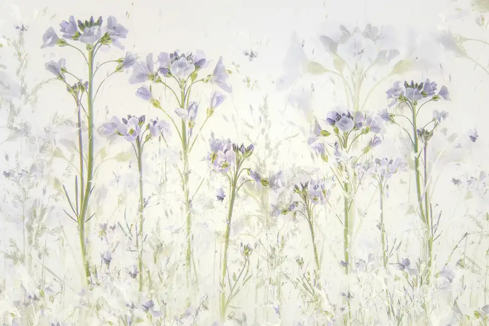 Talen, Nel: Frühling zu Hause