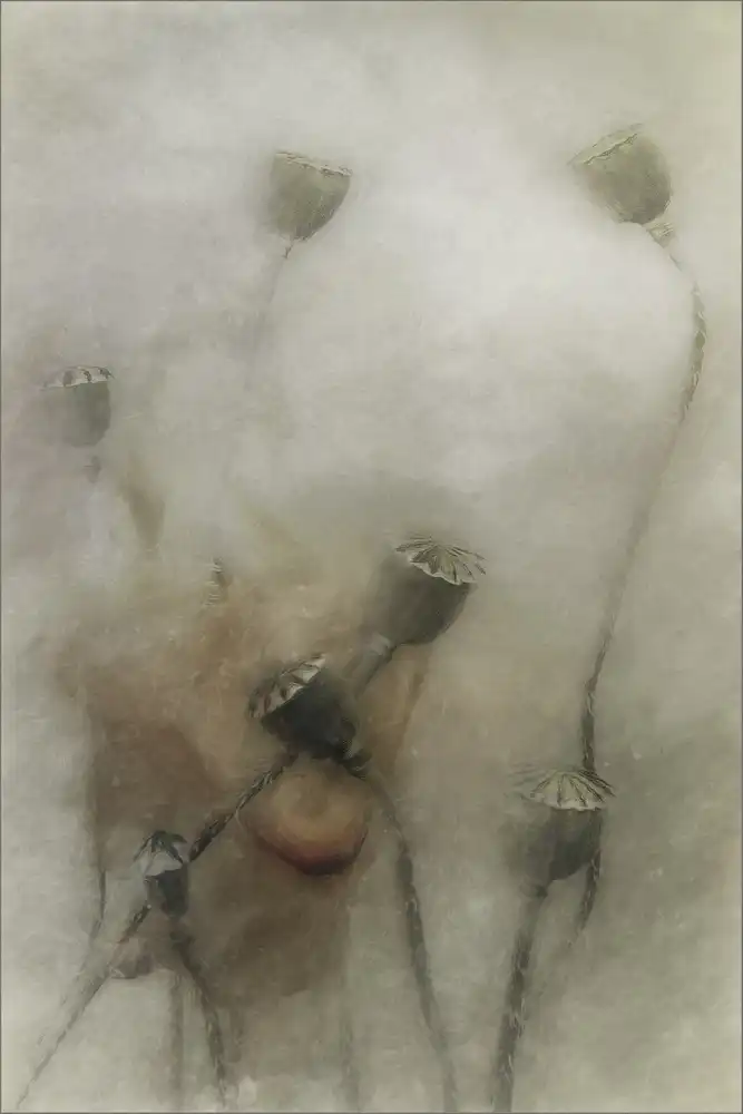 Claes, Gilbert: futuro pieno di speranza