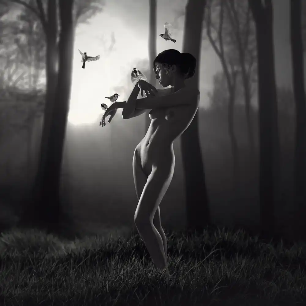 Laudin, Dmitry: Printemps et oiseaux
