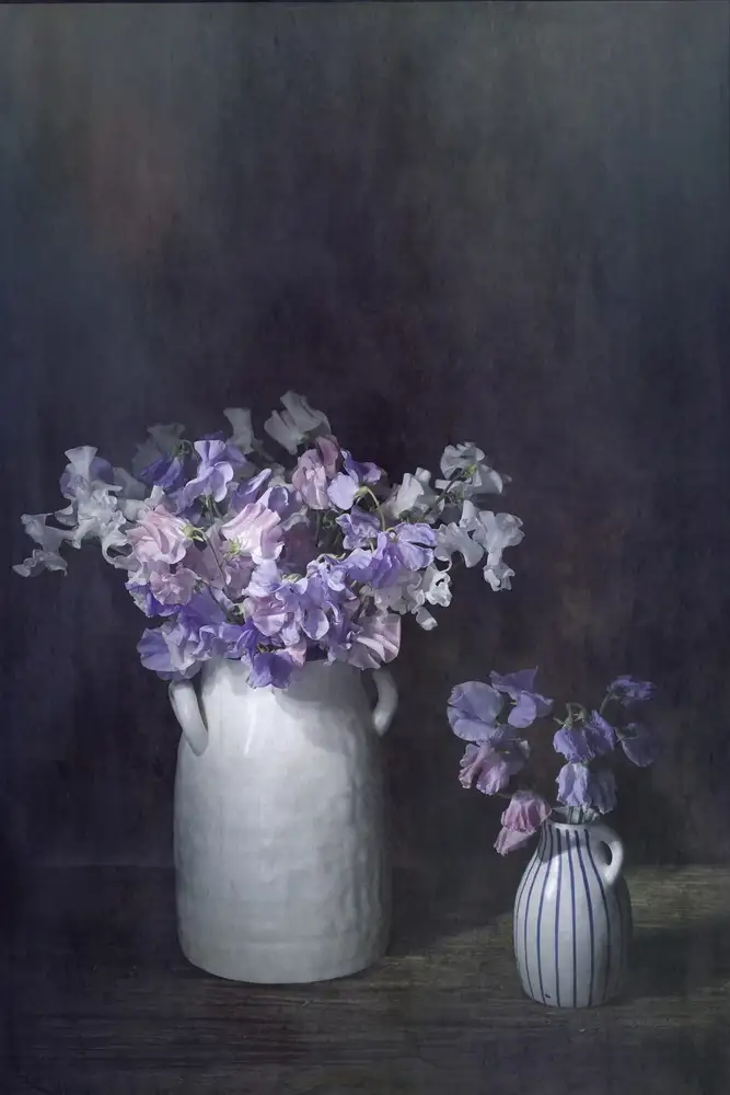 Dingemans, Saskia: Lathyrus etereo