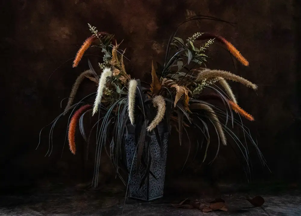 Meng, LM: Plantes sèches