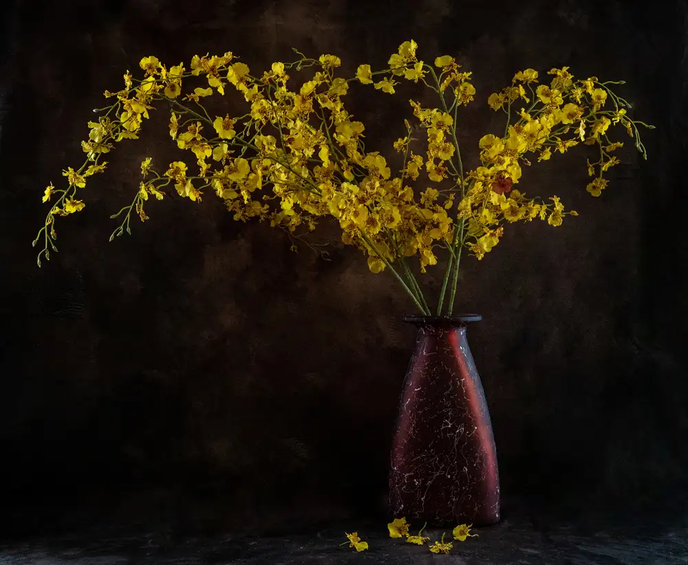 Meng, LM: Fleurs jaunes