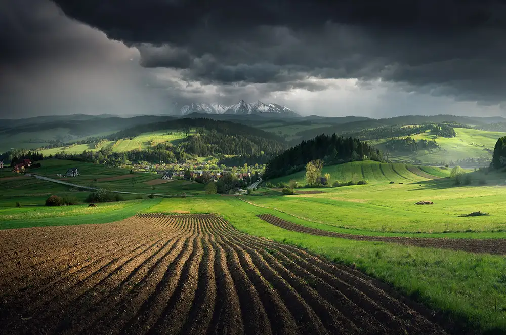 Nienartowicz, Karol: Vor dem Sturm